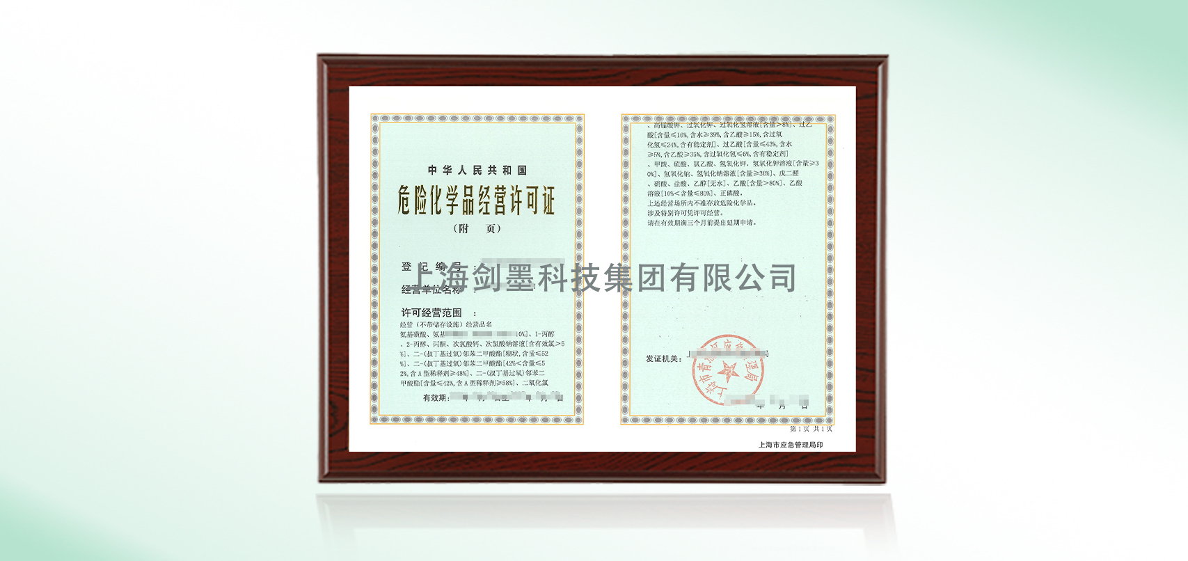 6(图1)